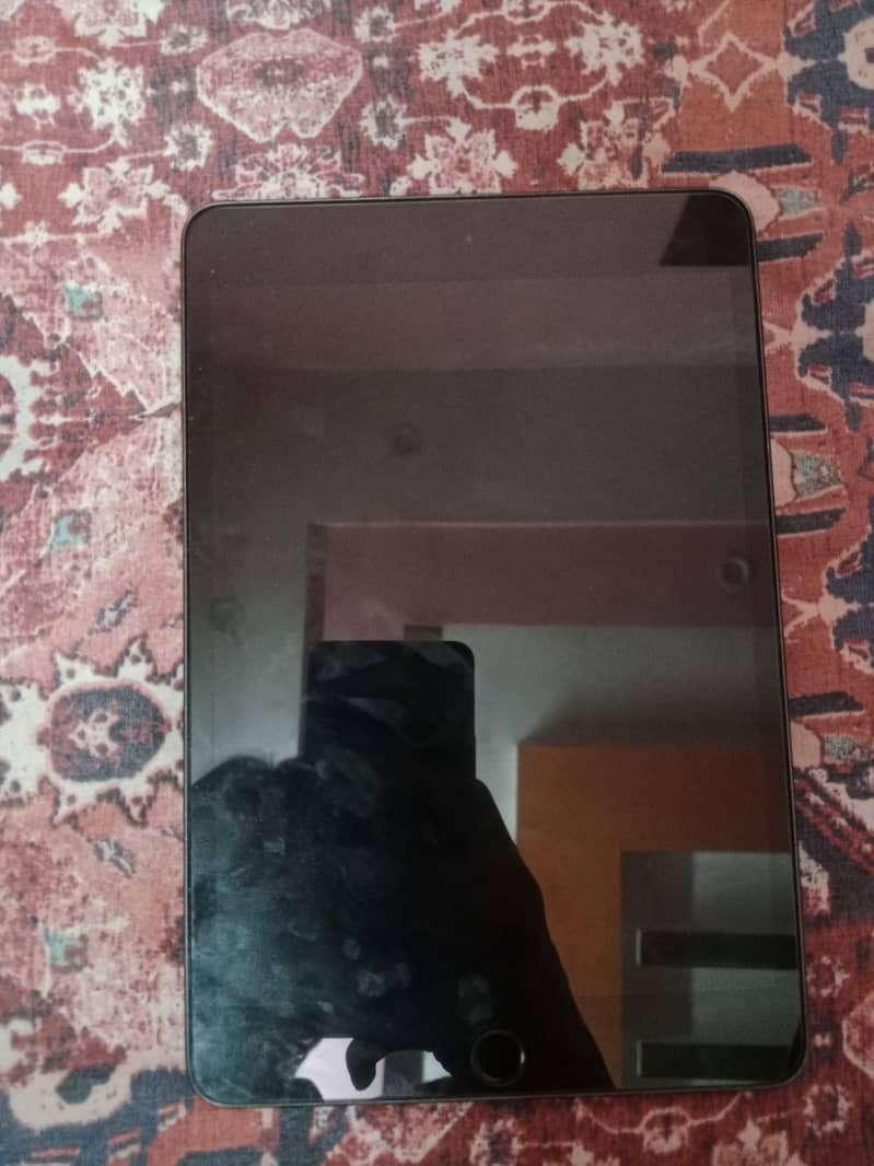 Ipad mini 5 1