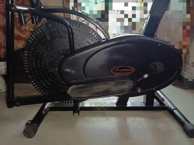exercise cycle