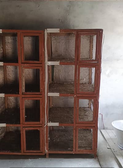pigeons cages for sale