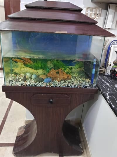 used aqurium
