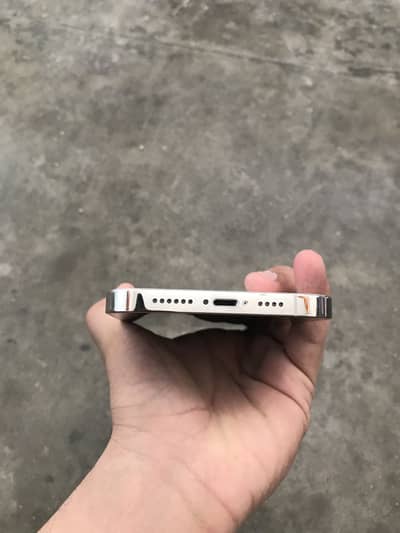 Apple iPhone 13 Pro Max mdm