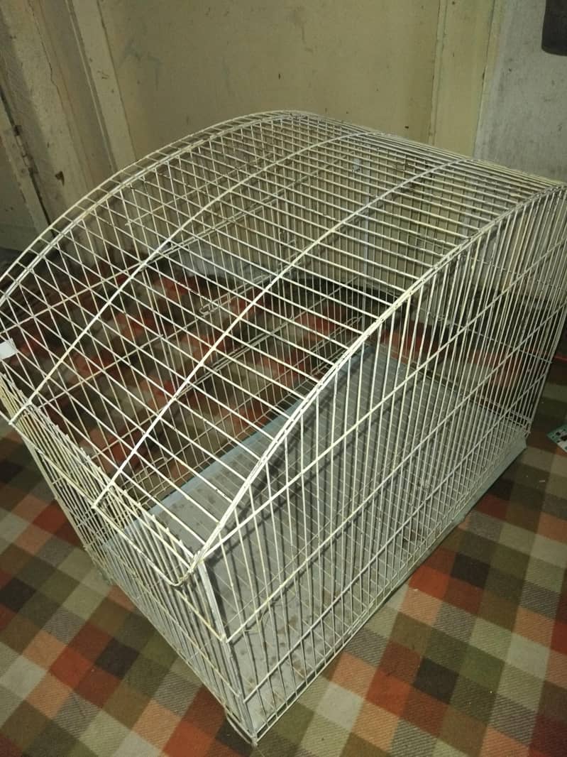 one cage 2