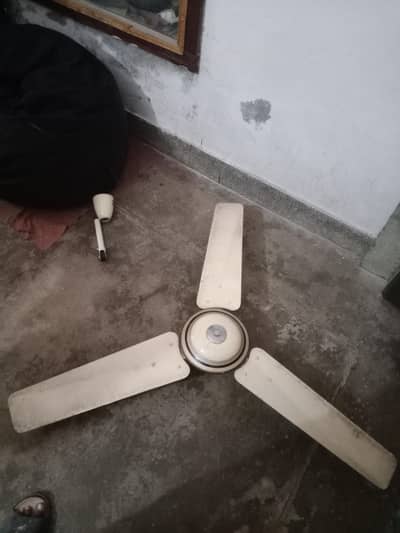 GFC celling fan
