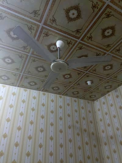 Indus Fan 9/10