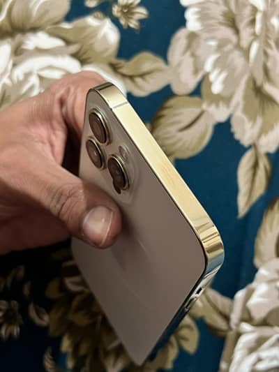 iphone 12 pro max (PTA) 256 GB
