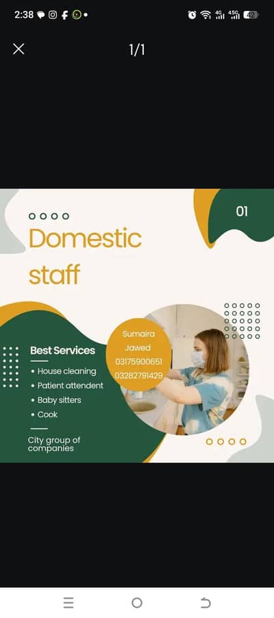 provide domestic staff  cooks,maids,nannies,drivers, attendant