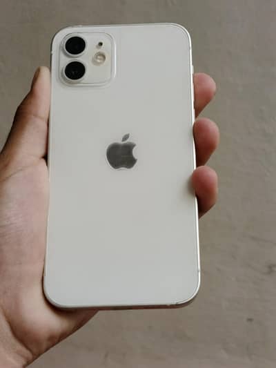 iphone 12 10/10 lush water pack