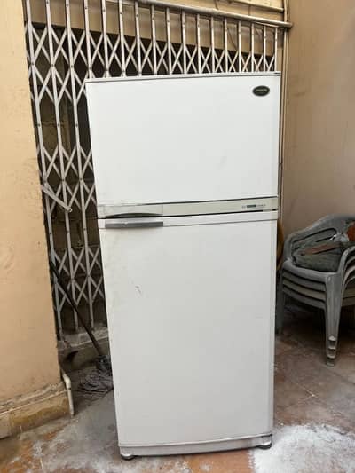Samsung Full Size Fridge