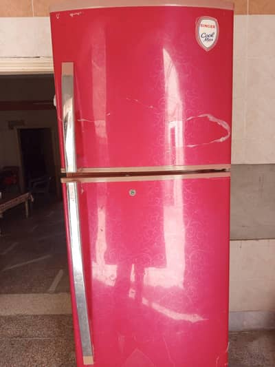 Medium Size Fridge