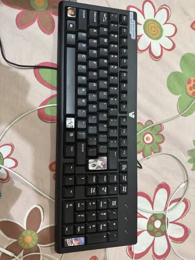 V7 Standard USB Keyboard (KC0A1-4N6P)