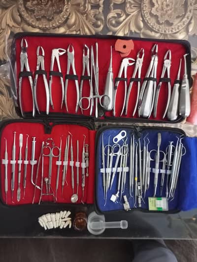 Professional Dental Instruments Complete Set 60+ Tools