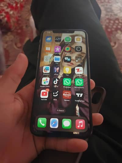 Xs Max 256gb