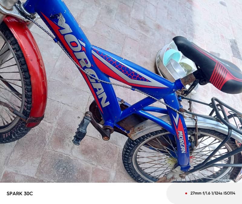 bycycle 13