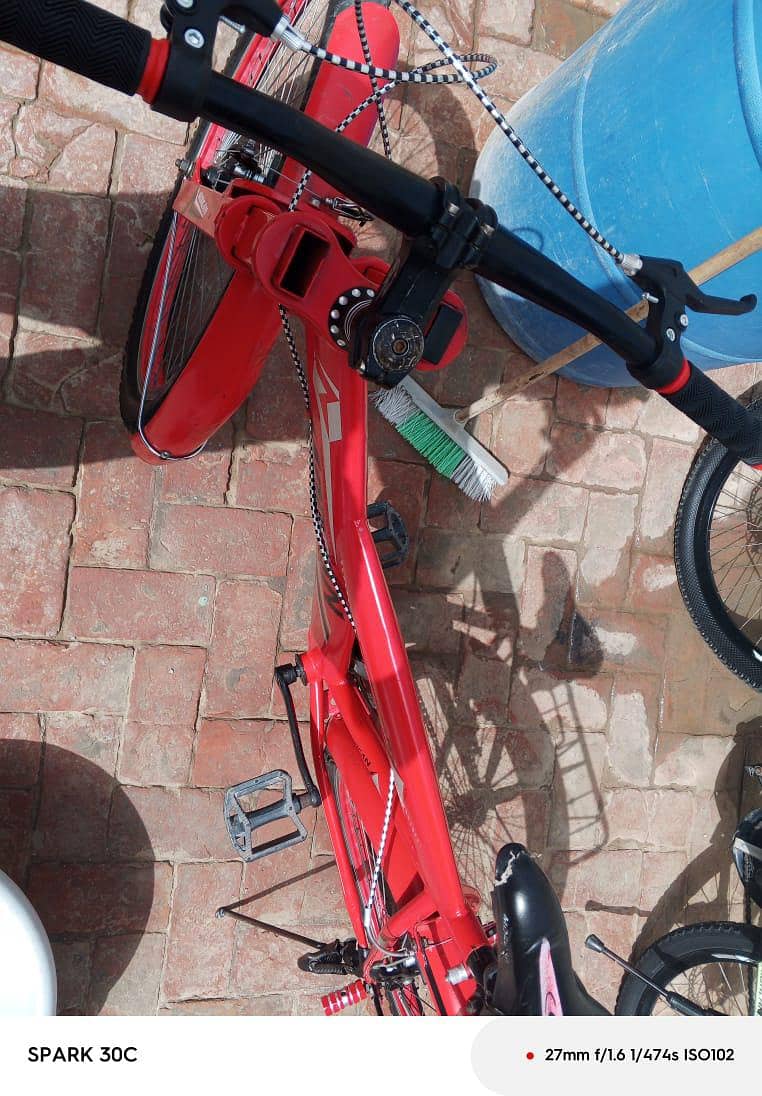 bycycle 16