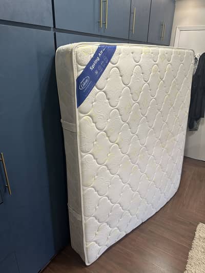 Master Celeste Spring Air Mattress