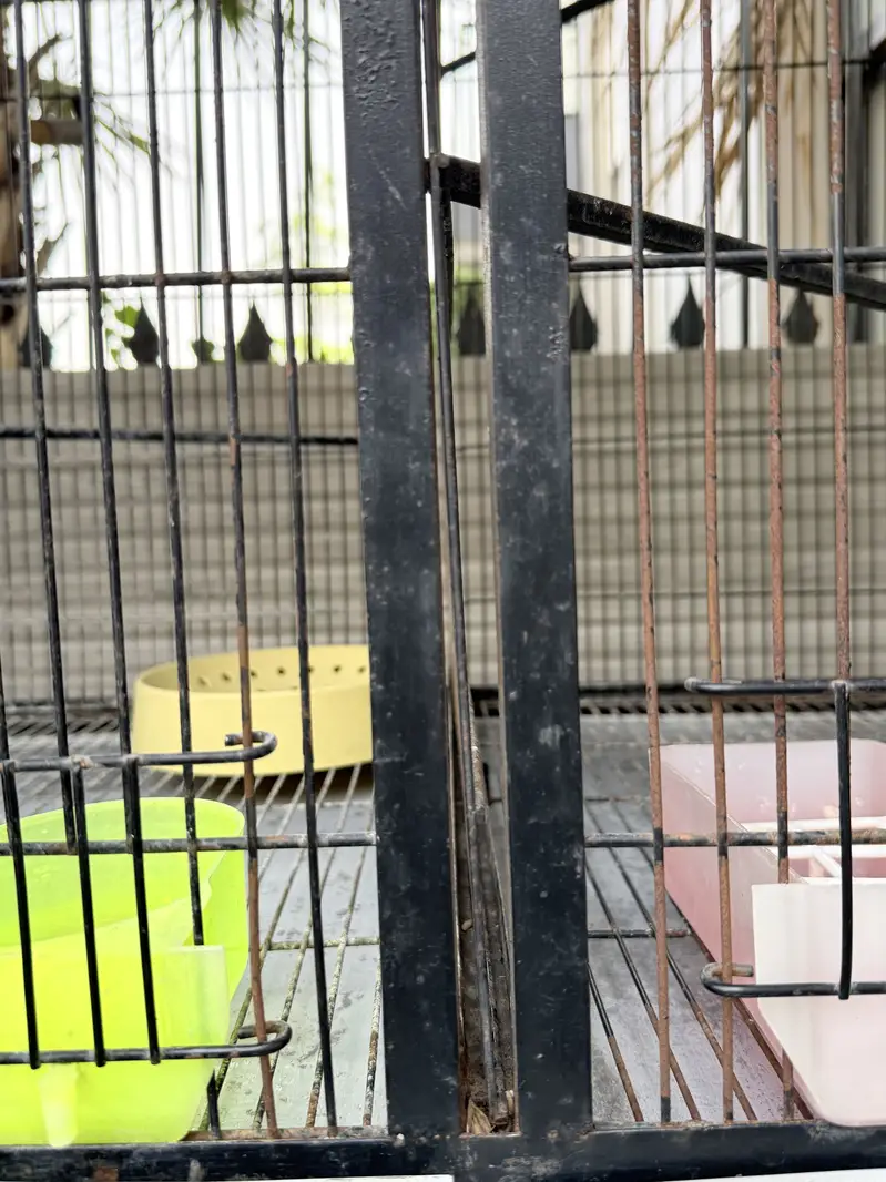 Heavy Duty Iron Bird Cage – 6 Compartments Convertible to 3 — photo 3
