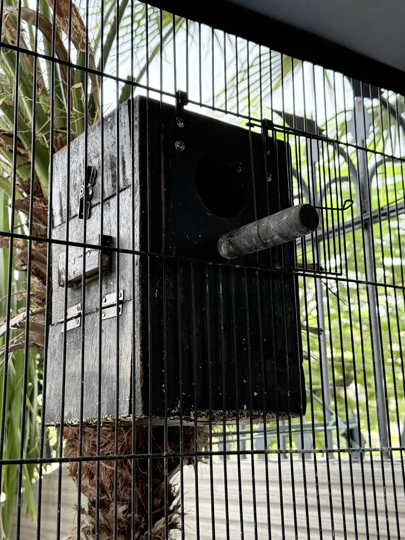 Heavy Duty Iron Bird Cage – 6 Compartments Convertible to 3 — photo 4