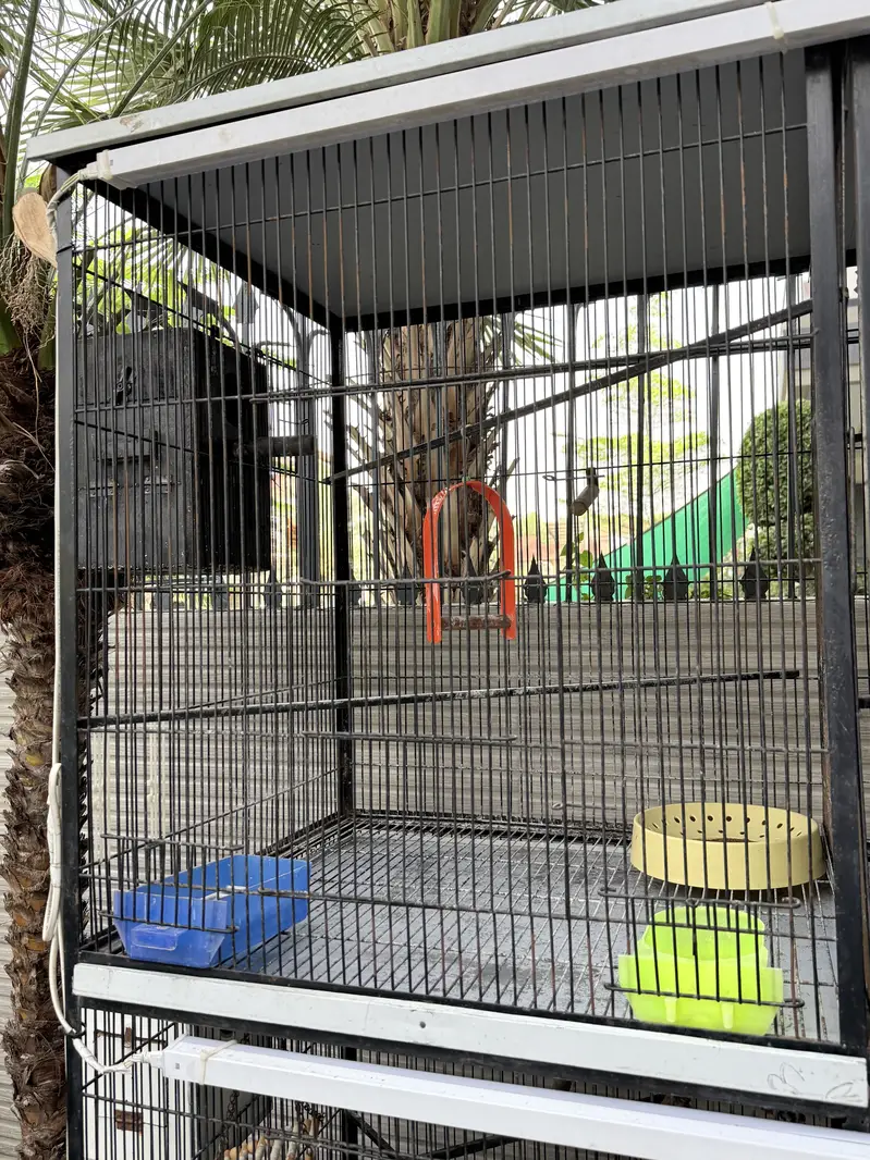Heavy Duty Iron Bird Cage – 6 Compartments Convertible to 3 — photo 6