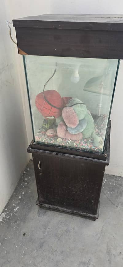Aquarium for sale (whatsapp only)