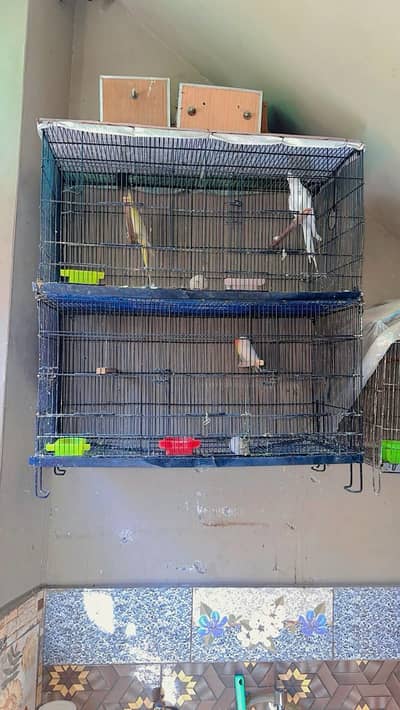4 portion cage for sale