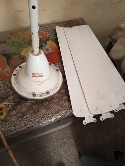 New Fan GFC Company original Cooper 03060373008
