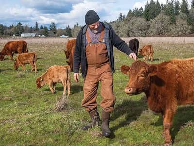 Cow keeper