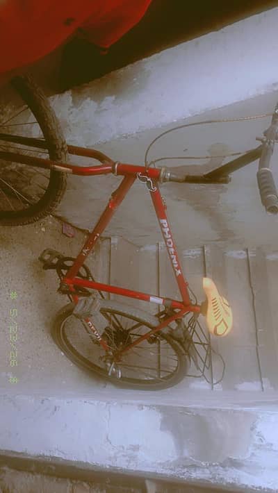 Phoenix bycycle with gears