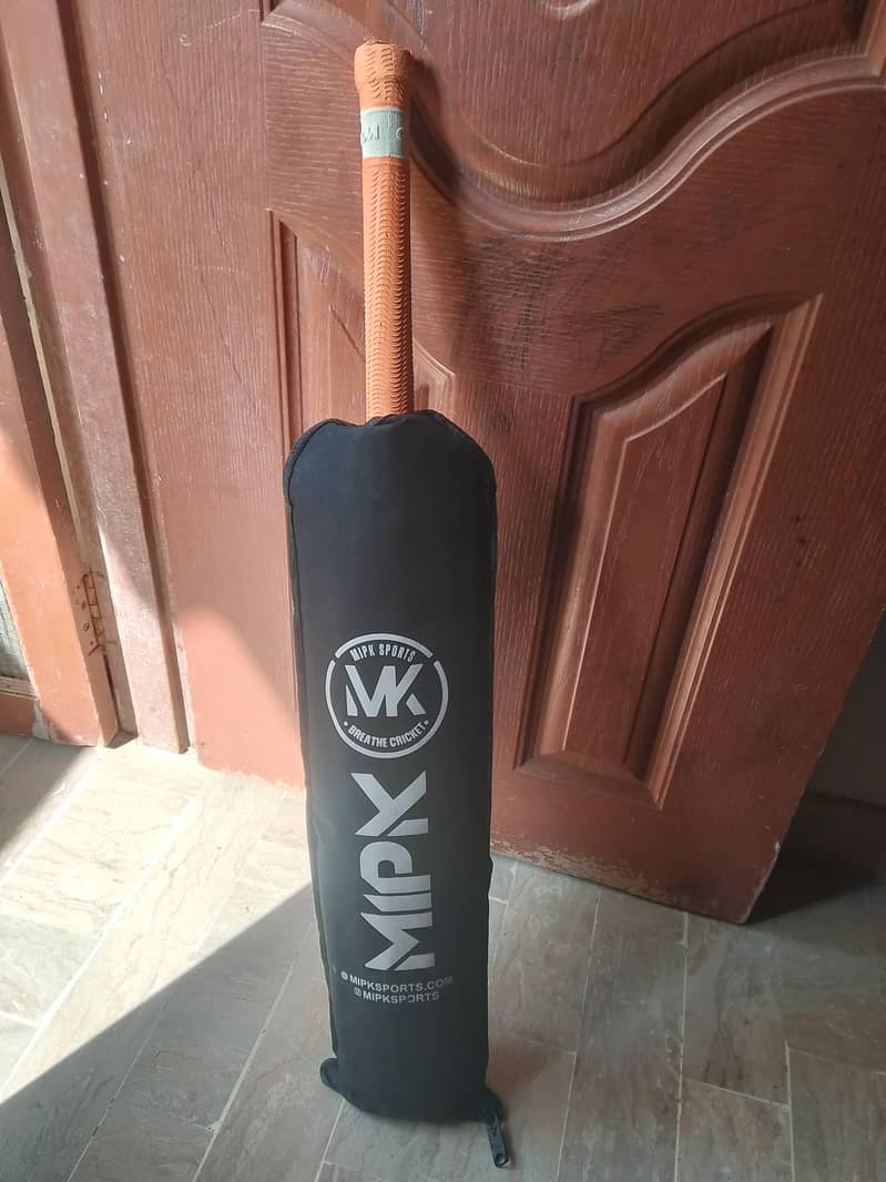 cricket bat 2