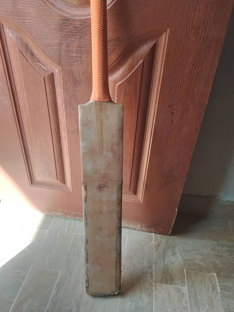 cricket bat 3