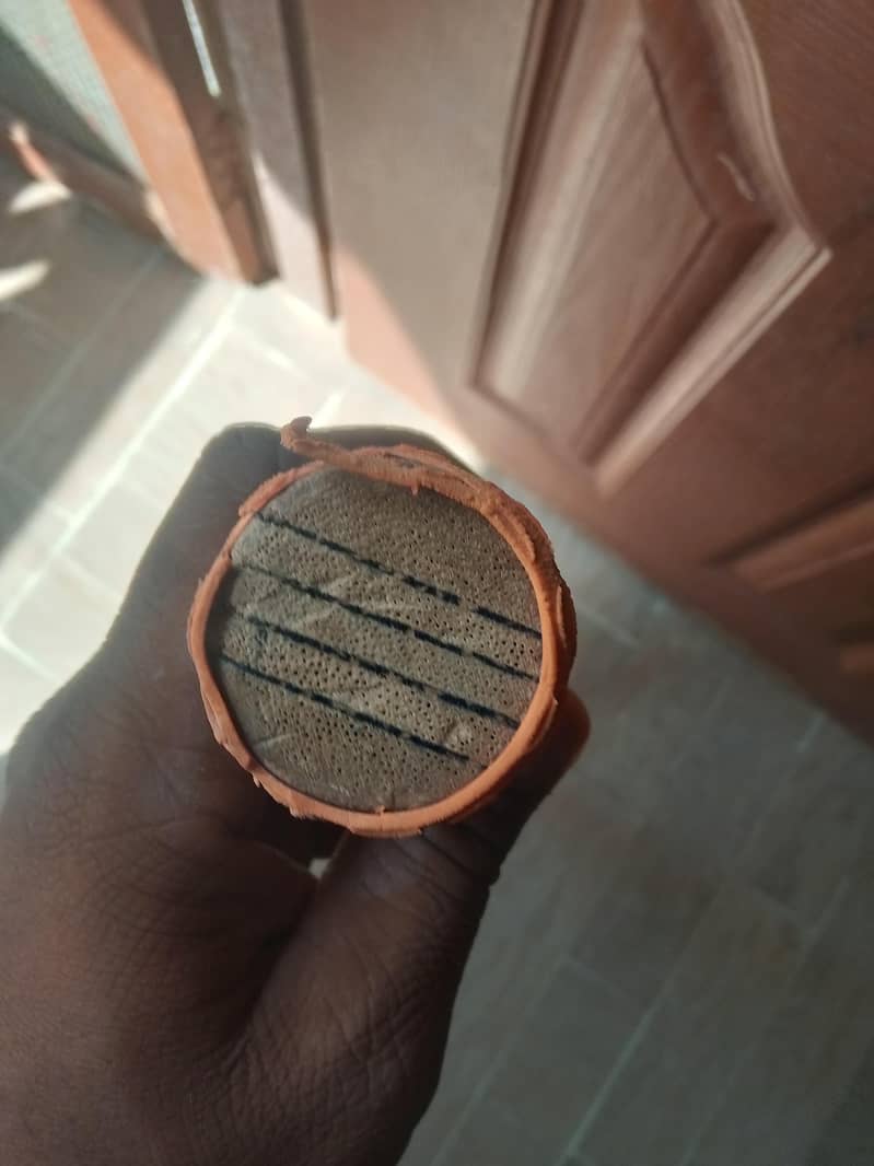 cricket bat 4