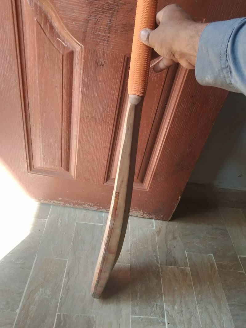 cricket bat 5