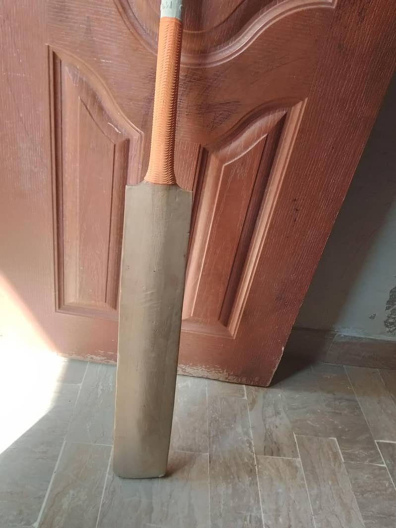cricket bat 6