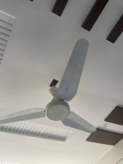 ceiling fan