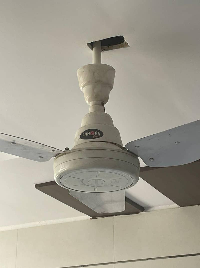 ceiling fan 1