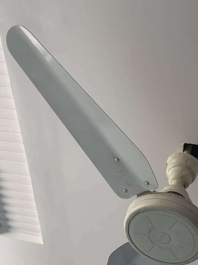 ceiling fan 2