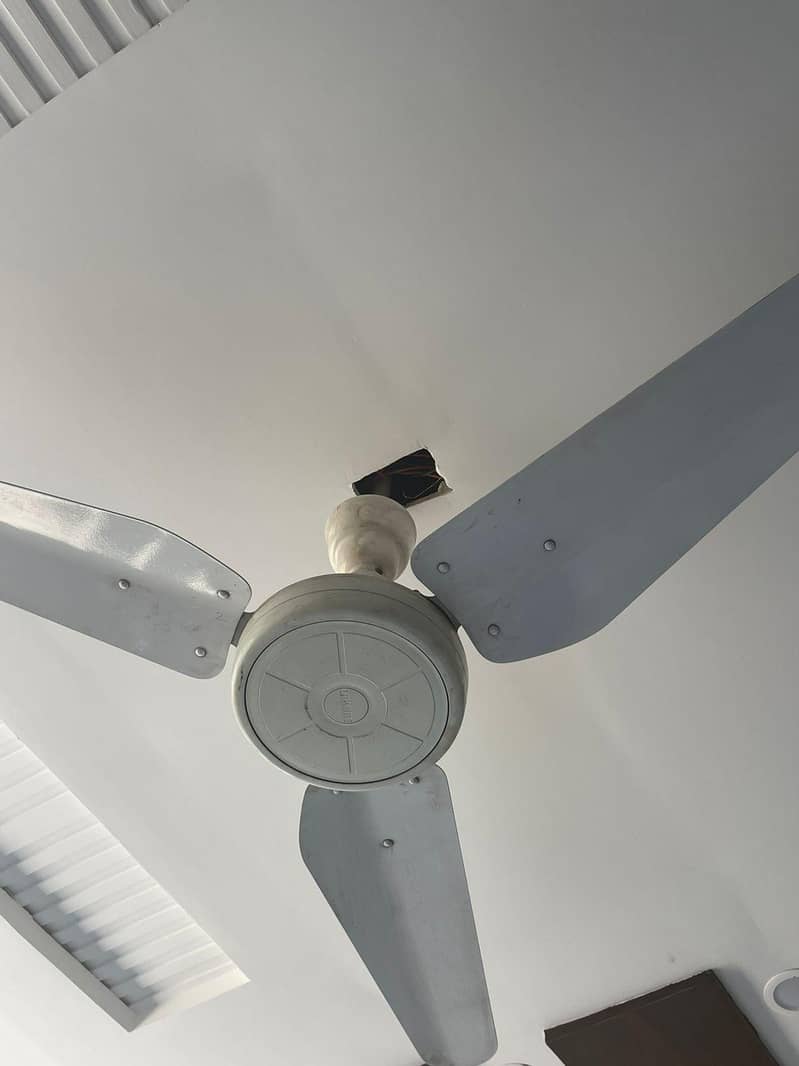 ceiling fan 3