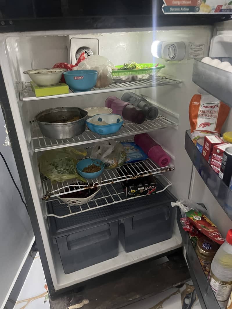 Fridge / refrigenrator 10