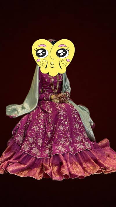 Bridal lehenga / Bridal dress/ wedding dress/ wedding lehenga