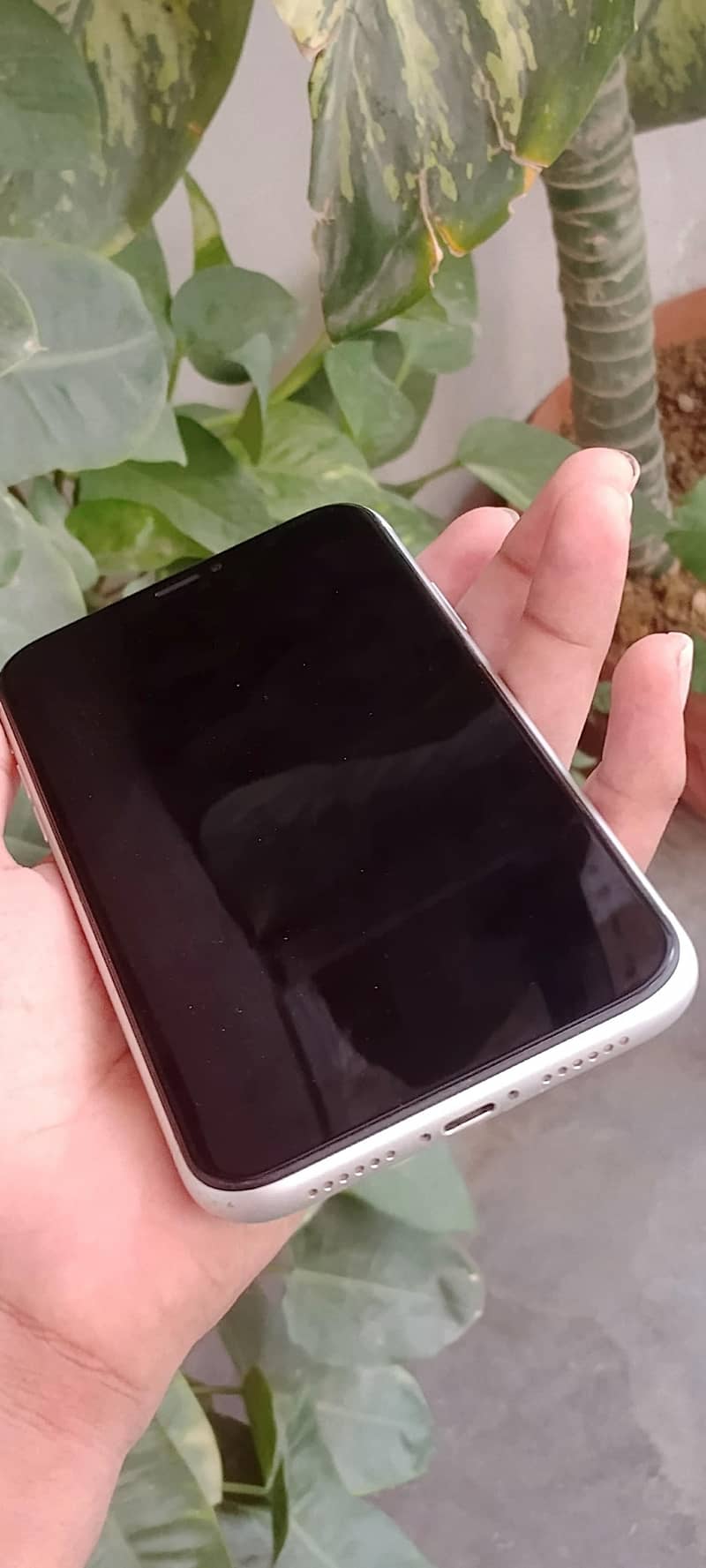 iPhone xr 1