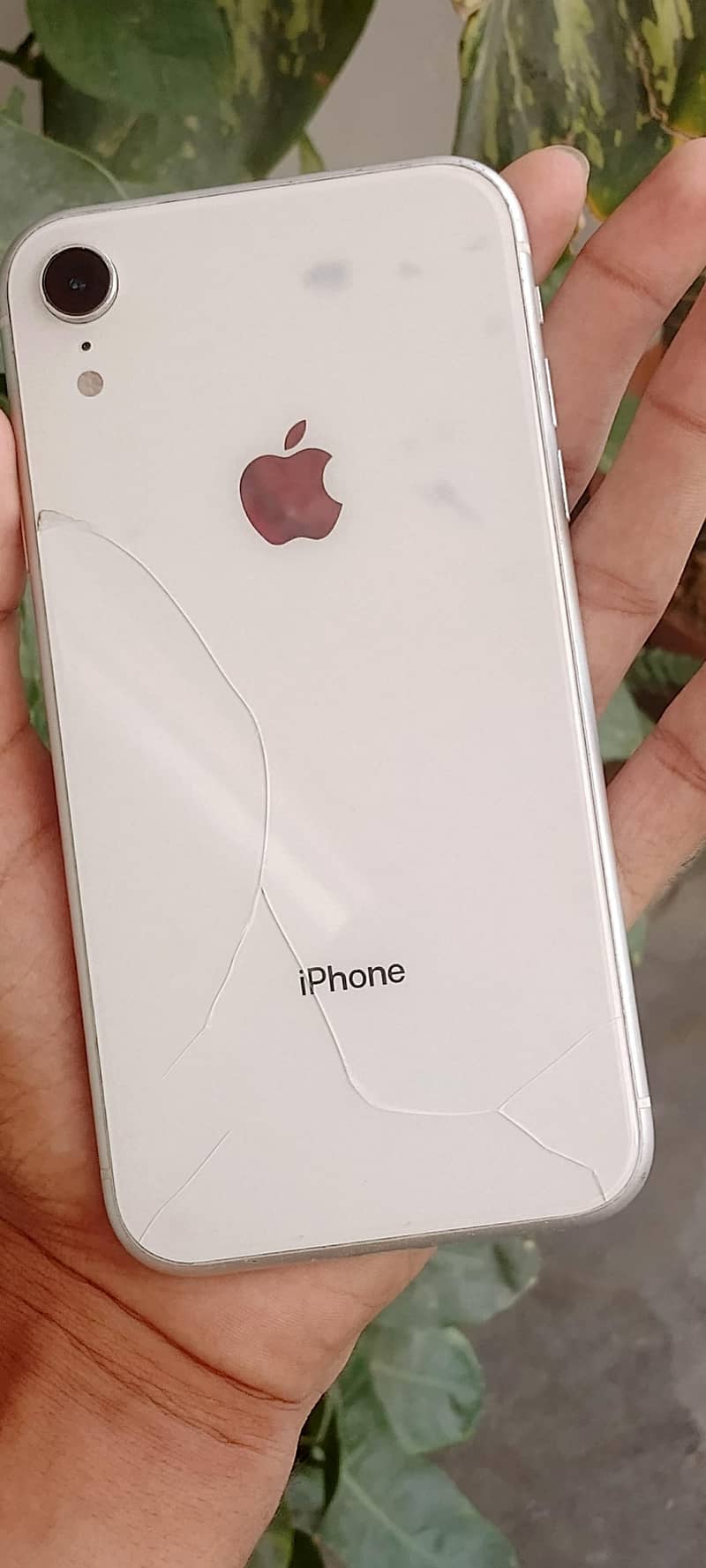 iPhone xr 3