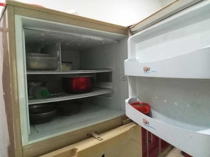 Pel refrigerator 1