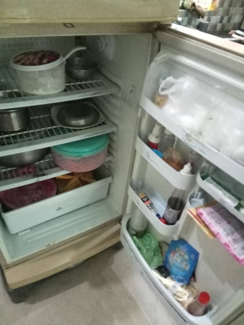 Pel refrigerator 2