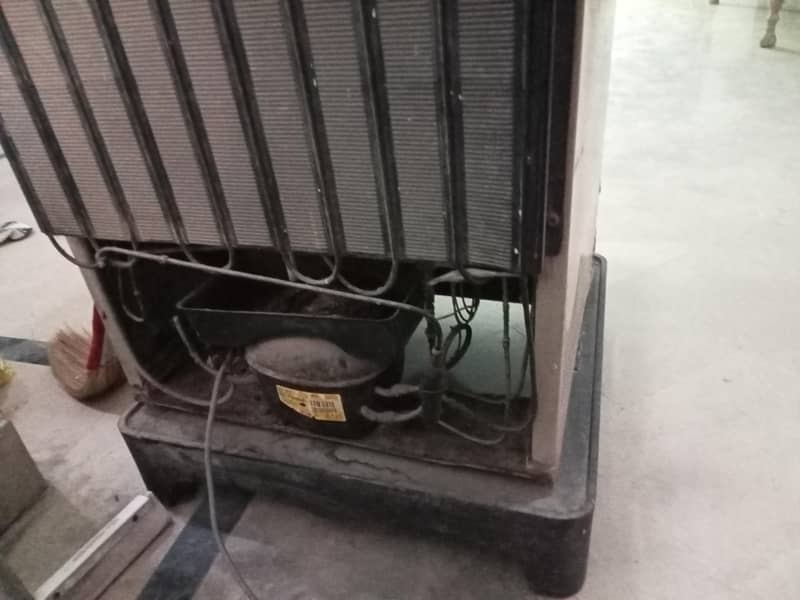 Pel refrigerator 4