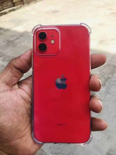 iPhone 12