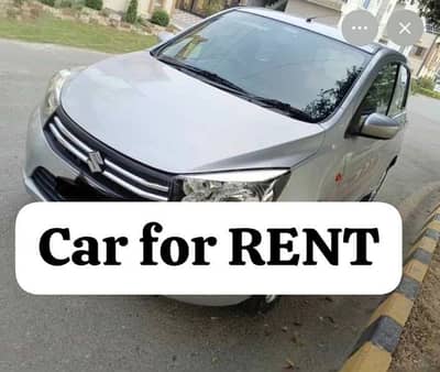 Rent a car