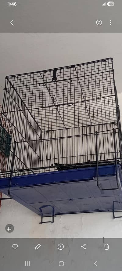 2  cage 4 sale