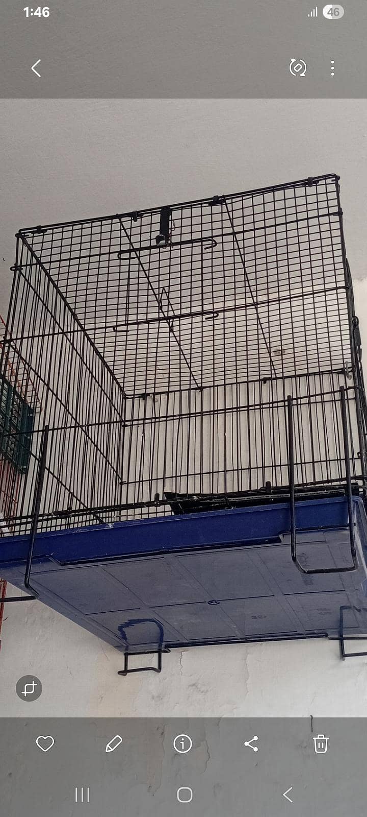 2  cage 4 sale 0