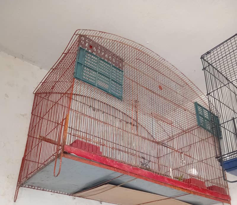 2  cage 4 sale 1