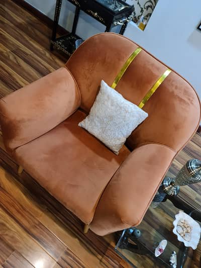 2 Luxury Arm chairs