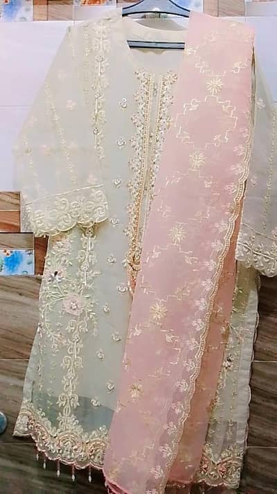 Elegant Organza Dress  | Used But Neat Condition | Party Wear